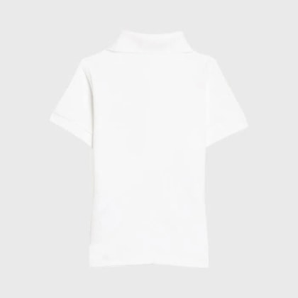 image_d8eb3f49-d1ba-41eb-a0a6-54058cfe77f0